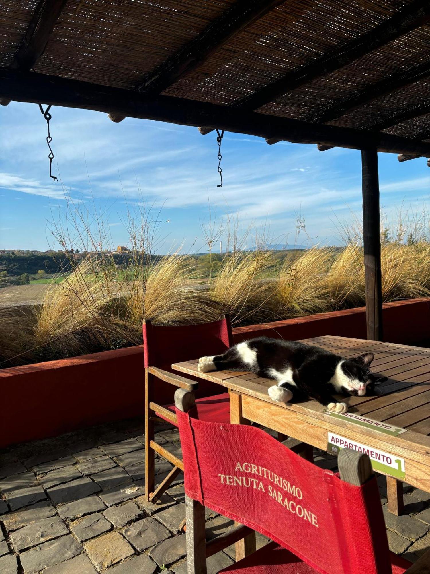 Tenuta Saracone Montalto di Castro Eksteriør bilde