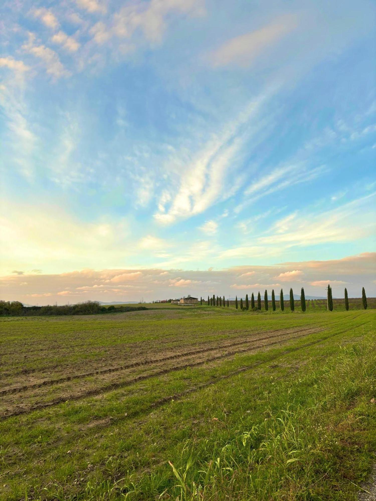 Tenuta Saracone Montalto di Castro Eksteriør bilde